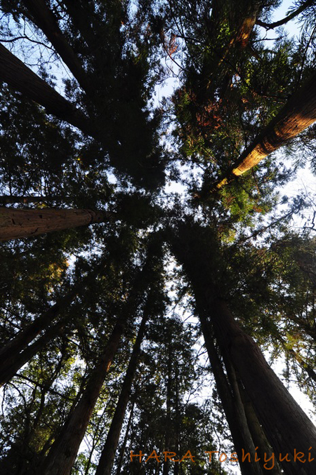 DSC_7692_700