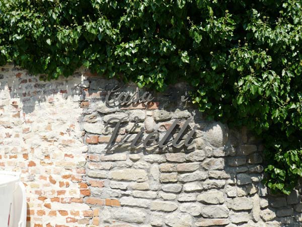 �Х�����Vietti04