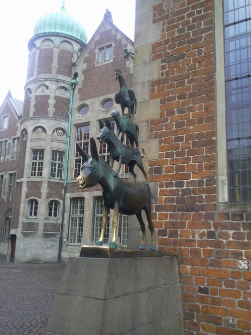 Foto0819
