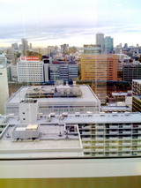 2229e55b.JPG