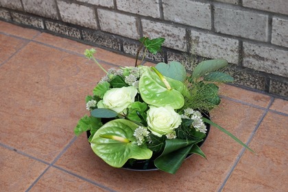 P1070031