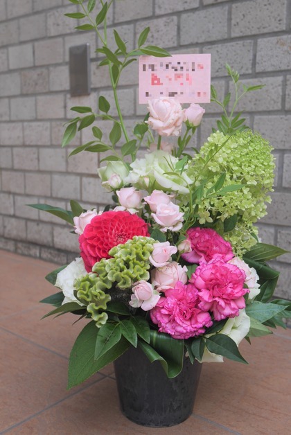 P1070152 (2)
