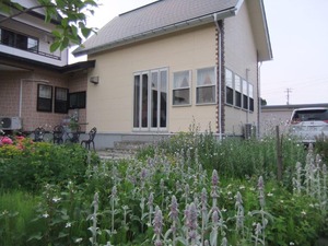 2017_06220008