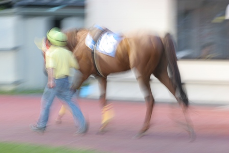 ³ÆÇϤζ¯Ä´ºàÎÁ¤Ï¡©