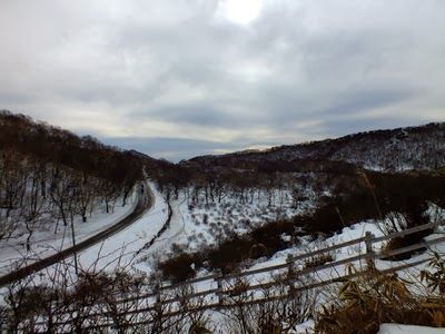 DSCF5202