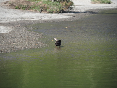 P6040408