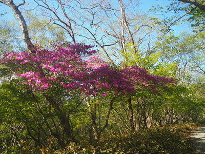 P6040393