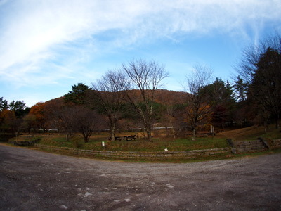 PA302611