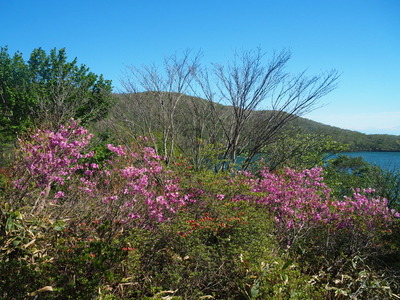 P6040349
