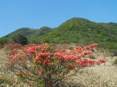 P5202833