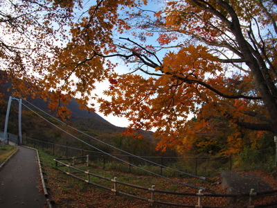 PA302613
