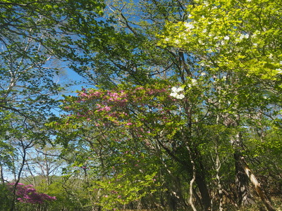 P6040389