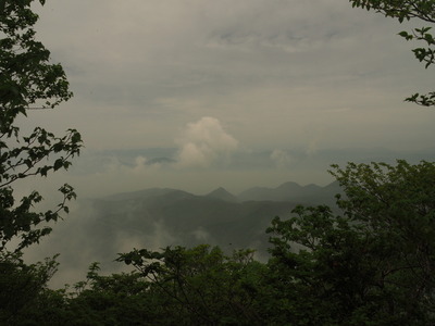 P5281367