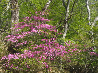 P6040364