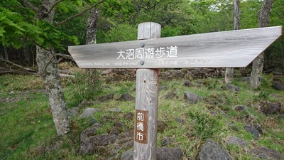117
