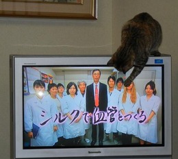 fukuTV