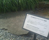 F1000019