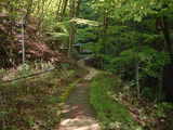 DSCF0017