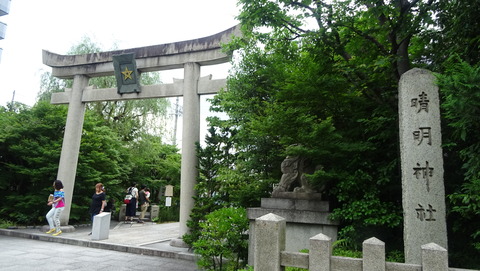 DSC07067