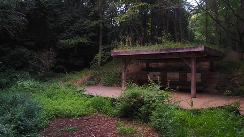 P7213587