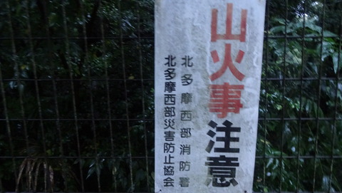 DSC09245
