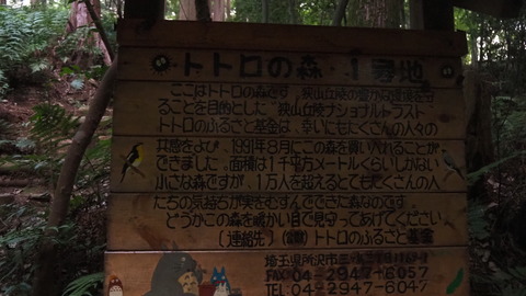 P7213582