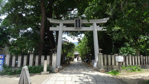 DSC07060