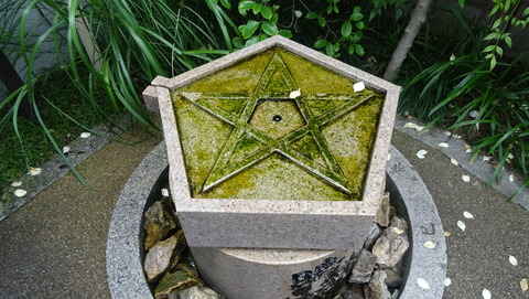 DSC07075