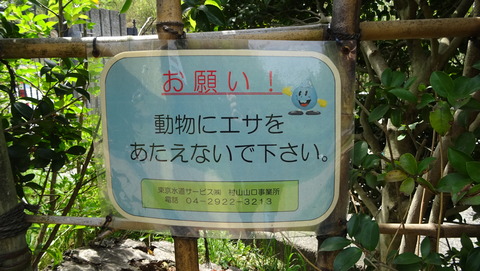 DSC01976