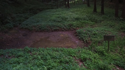P7213584
