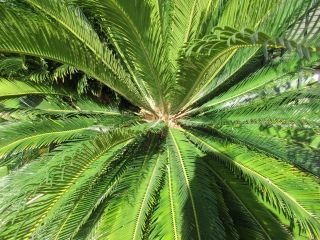201812021341 (2)