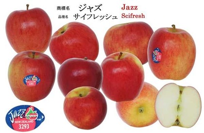 Jazz