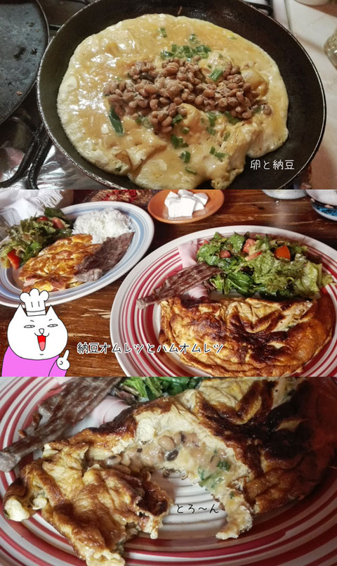 b_comida2017_8_11-7