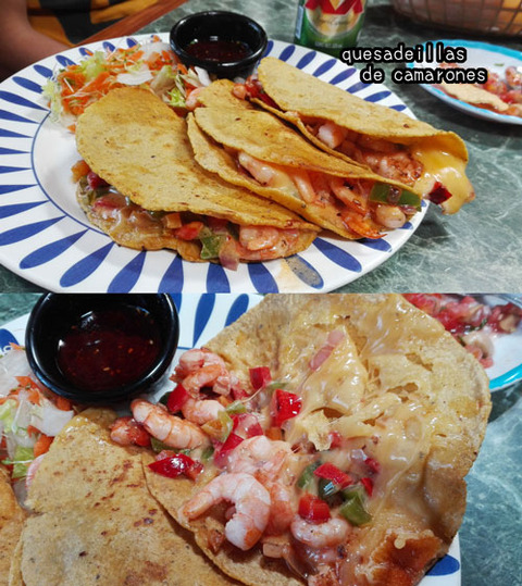 b_comida2018_4_14-4