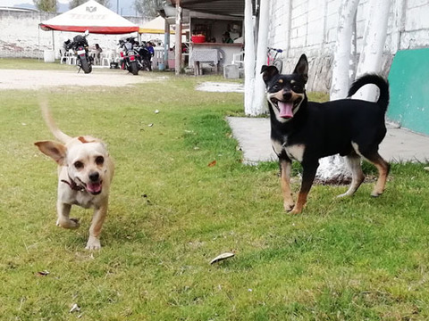 b_comida2019_04_06-21