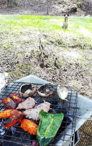 b_comida2018_3_3-6
