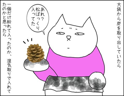 b_carbon1