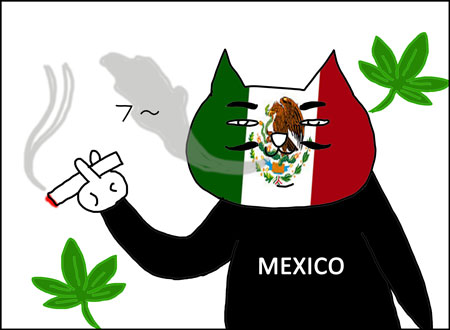 b_legalizacion-mota1
