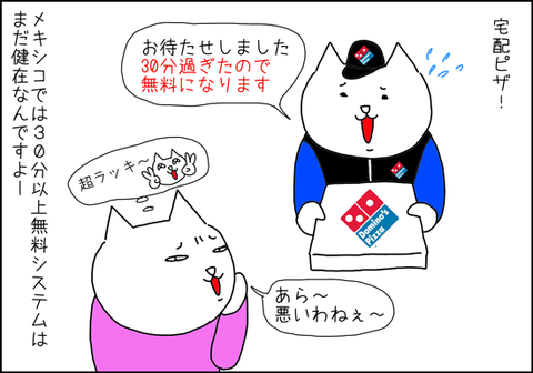b_takuhaipizza3