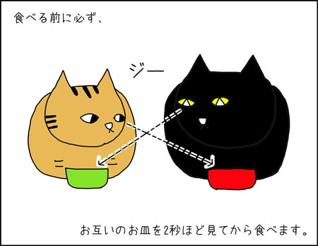 b_rutina-de-mis-gatos2
