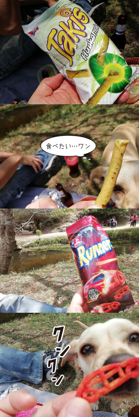 b_comida2019_04_06-6