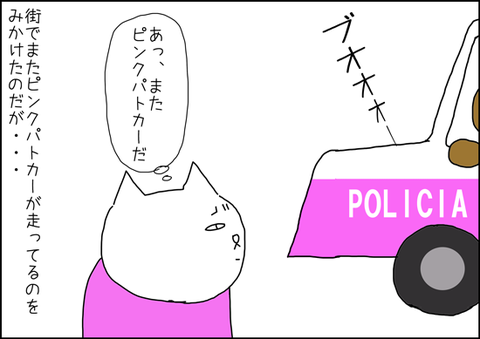 b_patrulla-rosa-2-1