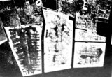 1960(昭和35)年:船橋市・完成した埋立地(50万坪)
