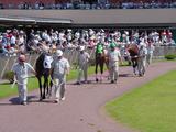 船橋競馬場第49回船橋記念G3パドック