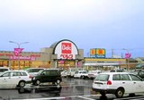 市川市原木3・スーパーマーケットベルク高崎日光店
