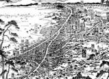 船橋・葛飾・鳥観図