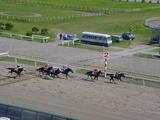 船橋競馬場第49回船橋記念レース