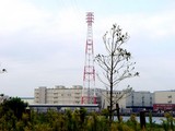 20041024-船橋市浜町3・送電線-DSC00148