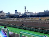 20050102-0957-船橋市若松1・船橋競馬場-DSC03402