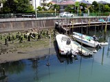 20050424-船橋市宮本3・浜町2・舟だまり・引き潮-1141-DSC09443